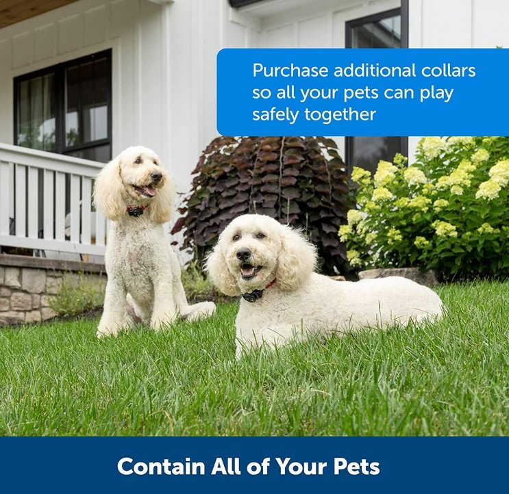 Draadloos Hondenhek Systeem – Oplaadbare Waterdichte Halsband voor Veilige Afbakening