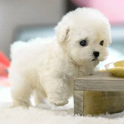 Knuffelhond met Realistisch Ontwerp - Zacht en Troostend