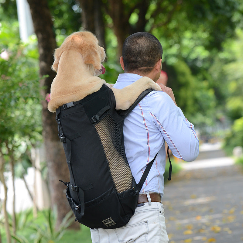 Norvo Hondenrugzak – Comfortabele Draagtas voor Middelgrote Honden met Veiligheidsriem en Opbergvakken