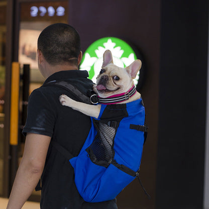 Norvo Hondenrugzak – Comfortabele Draagtas voor Middelgrote Honden met Veiligheidsriem en Opbergvakken