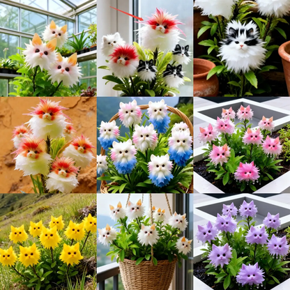 AuraBloom – Magische Kattenoog Zaden
