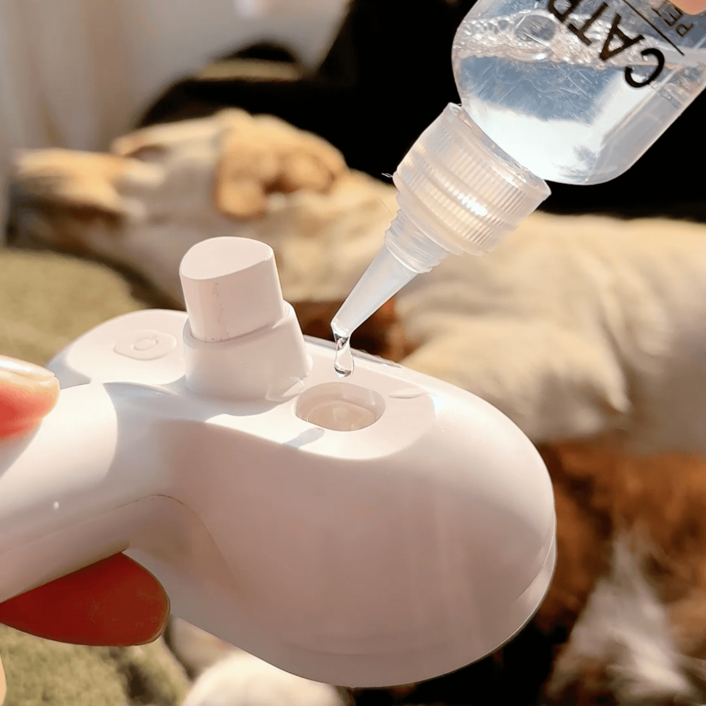 DampfVacht Stoomborstel – Zachte Verzorging voor Elke Hondenvacht