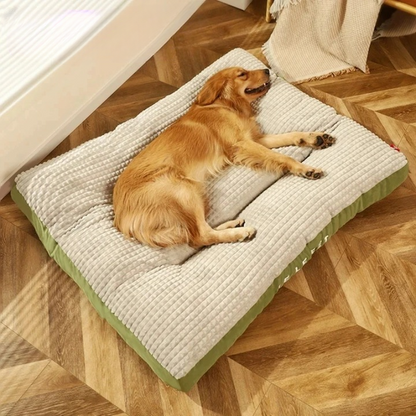 SnoozePaw Luxe Hondenbed – Stevig Schuim, Afneembare Hoes en Optimale Ondersteuning