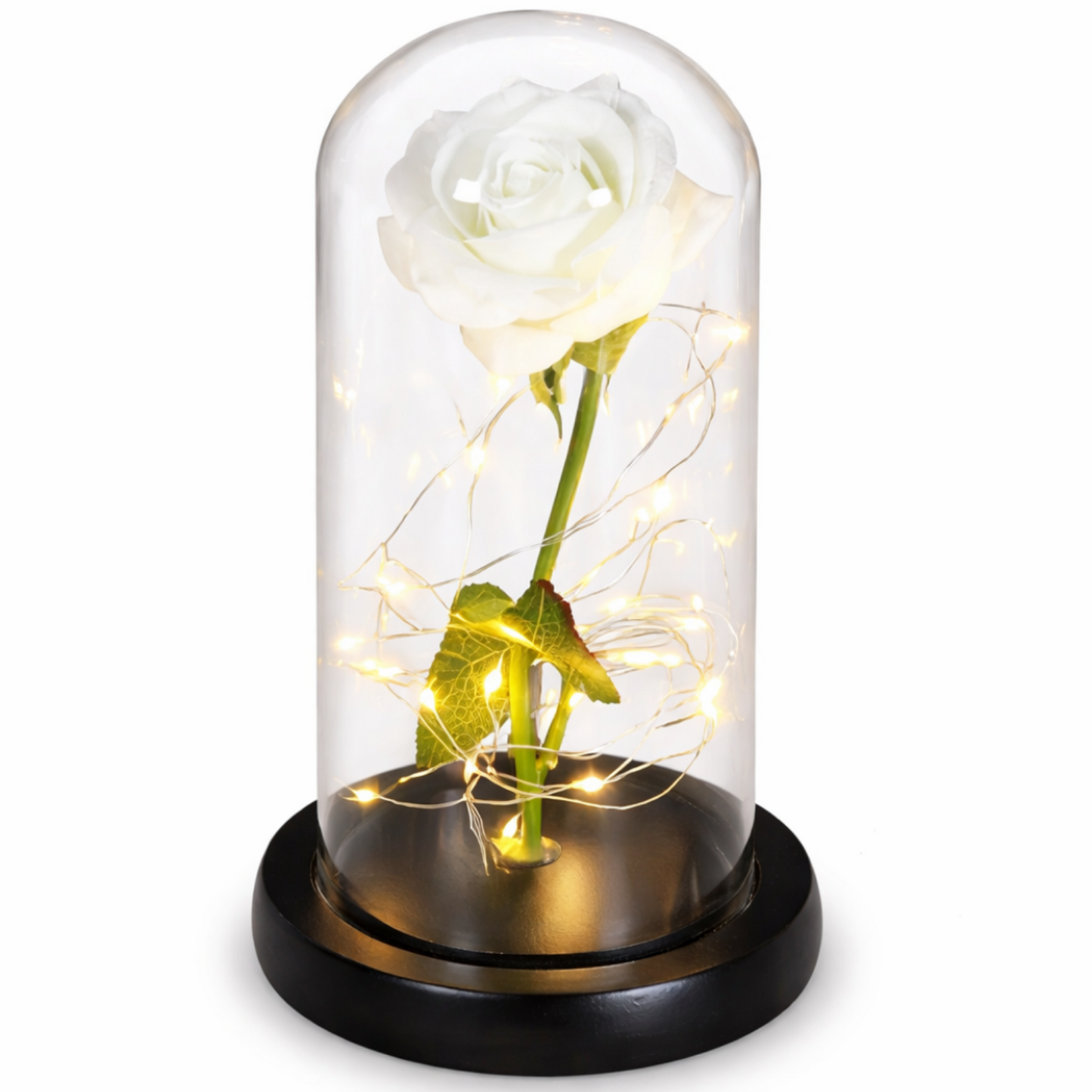 LiefdesGloed Eeuwige Roos Onder Stolp Met LED Moederdag Cadeau