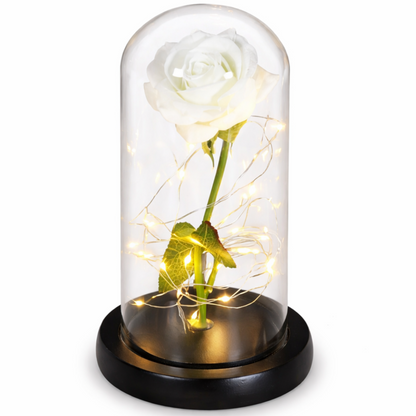 LiefdesGloed Eeuwige Roos Onder Stolp Met LED Moederdag Cadeau