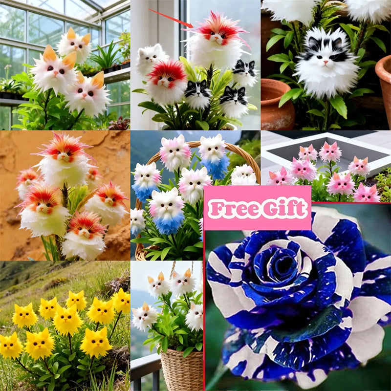 AuraBloom – Magische Kattenoog Zaden