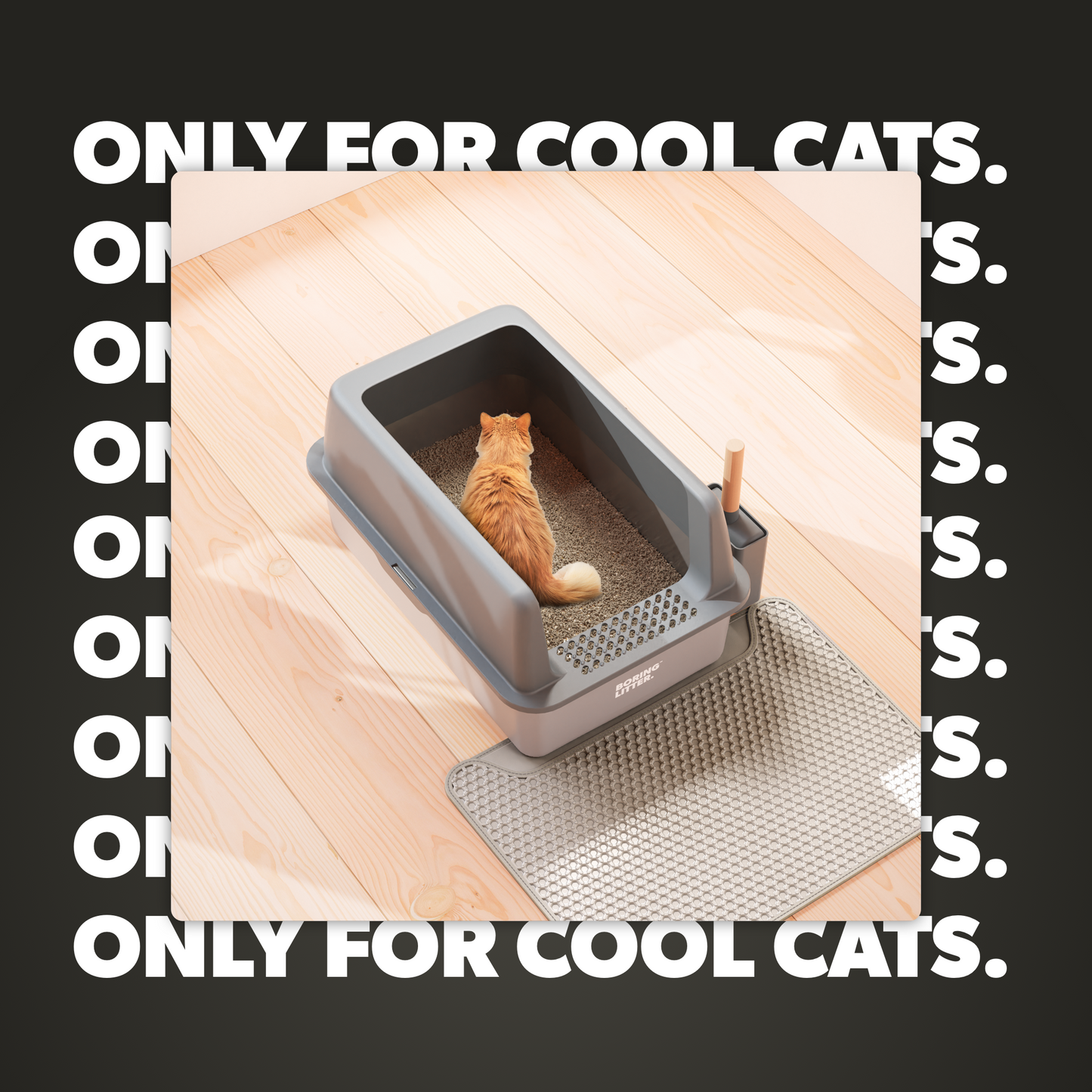 SteelClean Roestvrijstalen Kattenbak – Hygiënisch & Duurzaam