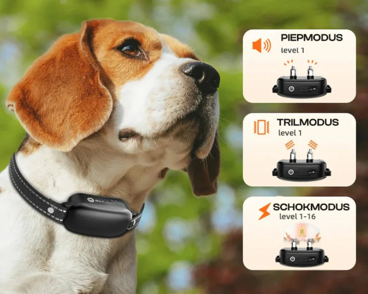 Hondencoach Pro Trainingshalsband – Waterdichte Elektronische Halsband met Afstandsbediening