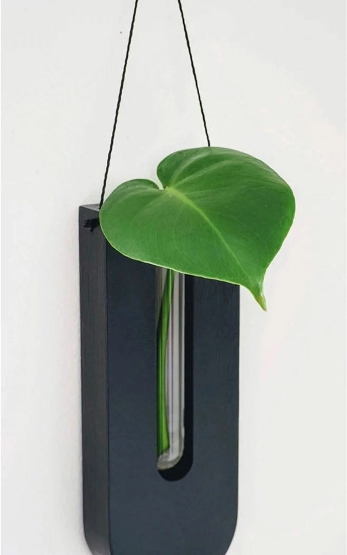 Houten Wandplantenhouder Set voor Kamerplanten en Decoratie