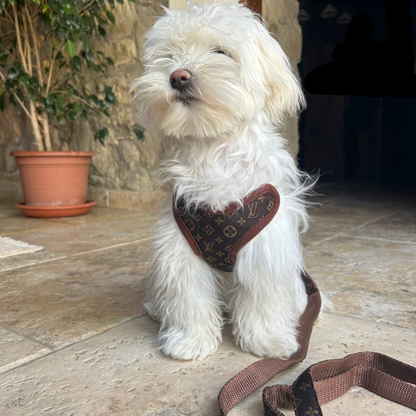 ComfortWalk Hondentuig met Lijn – Verstelbaar en Drukverdelend