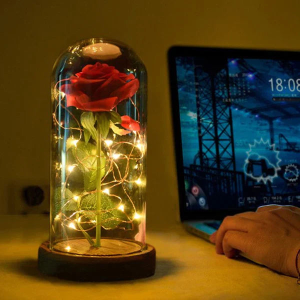 LiefdesGloed Eeuwige Roos Onder Stolp Met LED Moederdag Cadeau