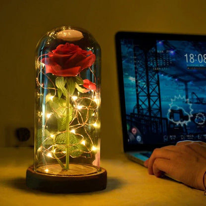 LiefdesGloed Eeuwige Roos Onder Stolp Met LED Moederdag Cadeau