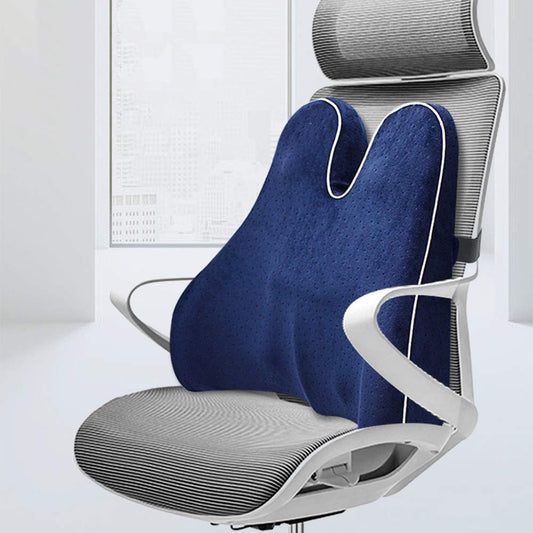 RugVorm Memory Foam Lendenkussen voor Stoel Auto en Kantoor