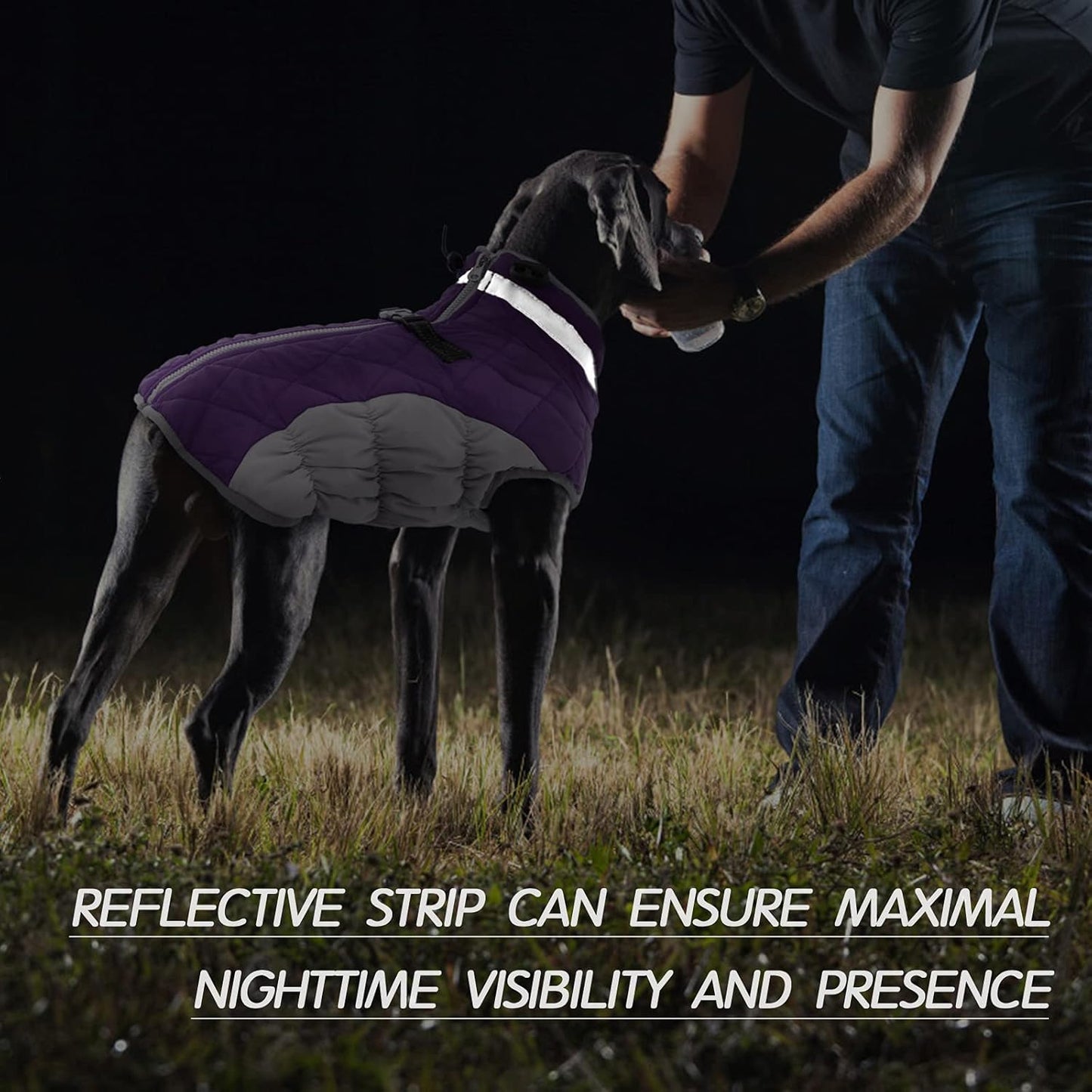 SafeWalk WinterHarnas Jas – Waterdichte Hondenjas met Reflectie en Fleecevoering