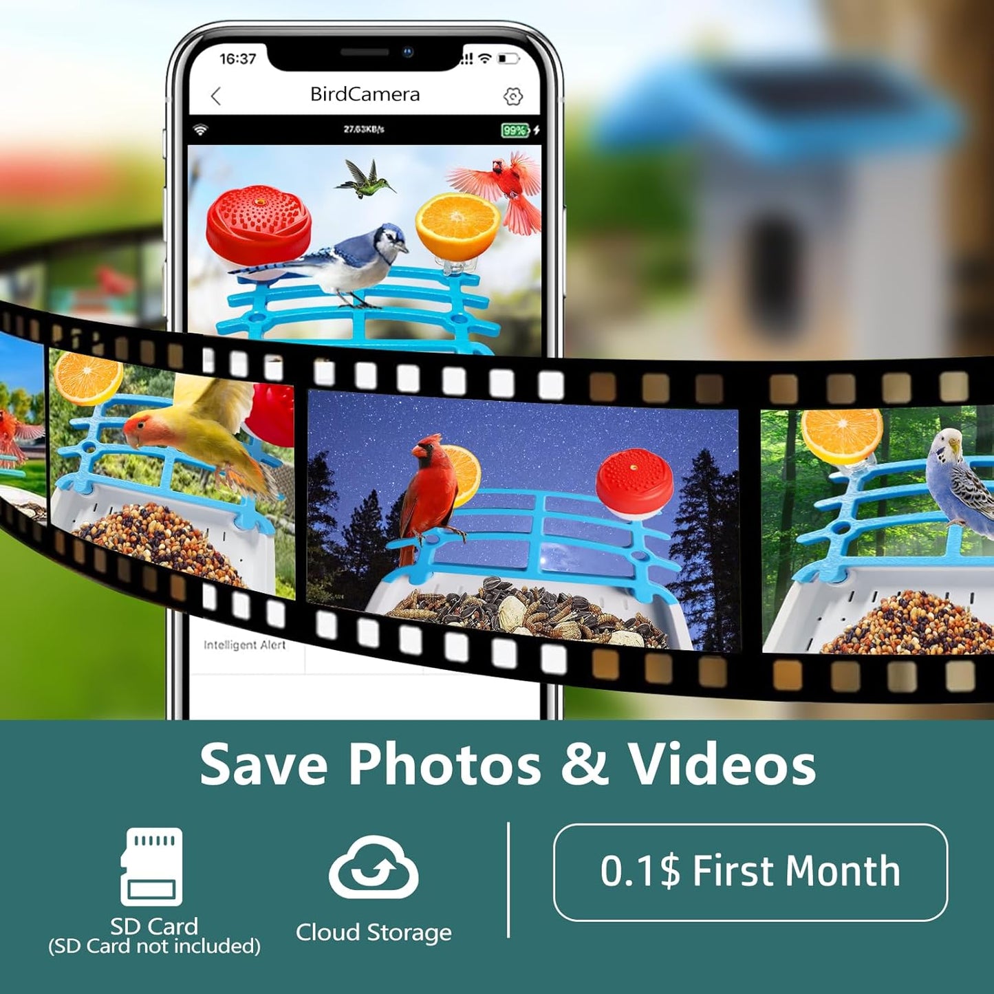 Slimme Vogelvoeder met Camera op Zonne-energie – AI Vogelherkenning & Nachtzicht