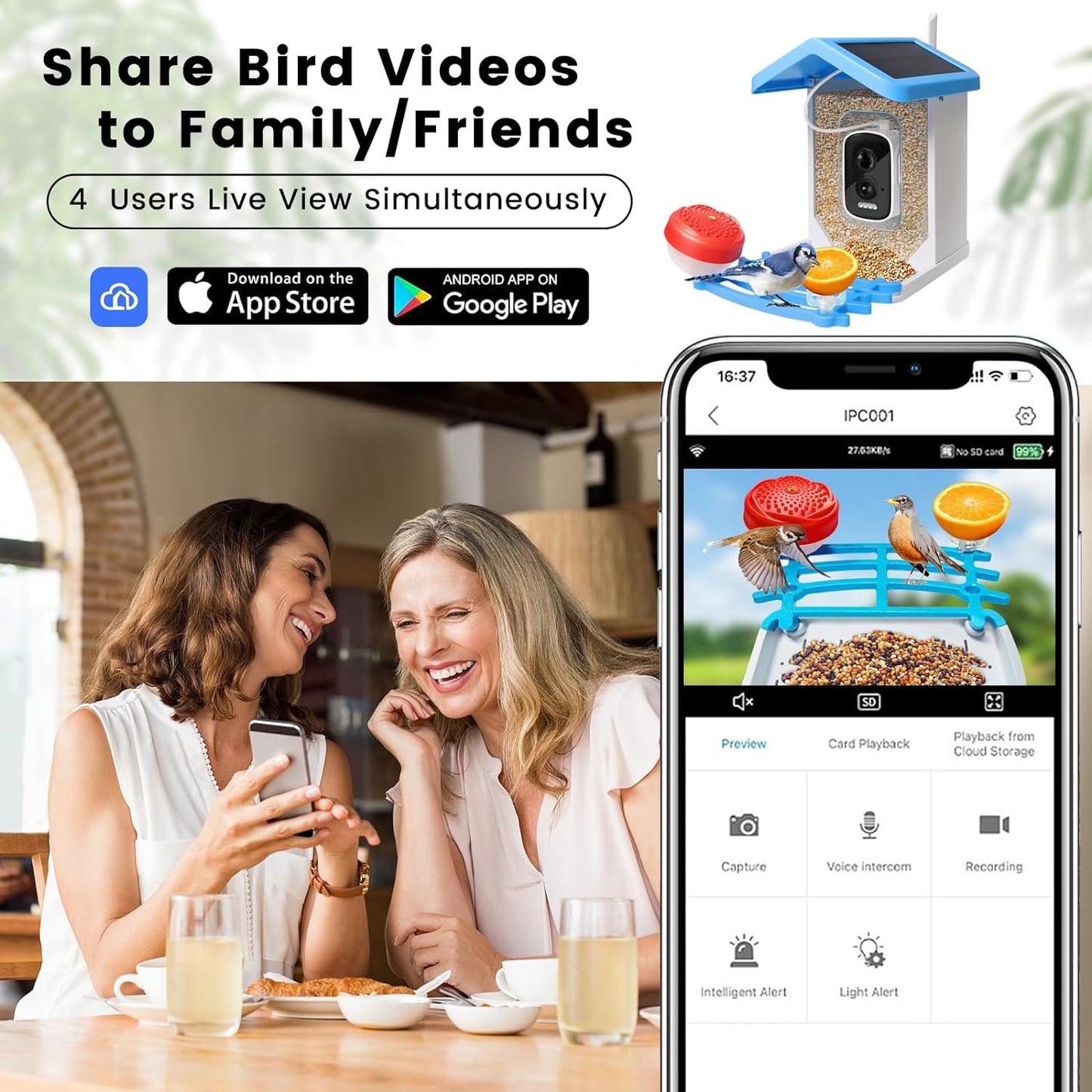 Slimme Vogelvoeder met Camera op Zonne-energie – AI Vogelherkenning & Nachtzicht