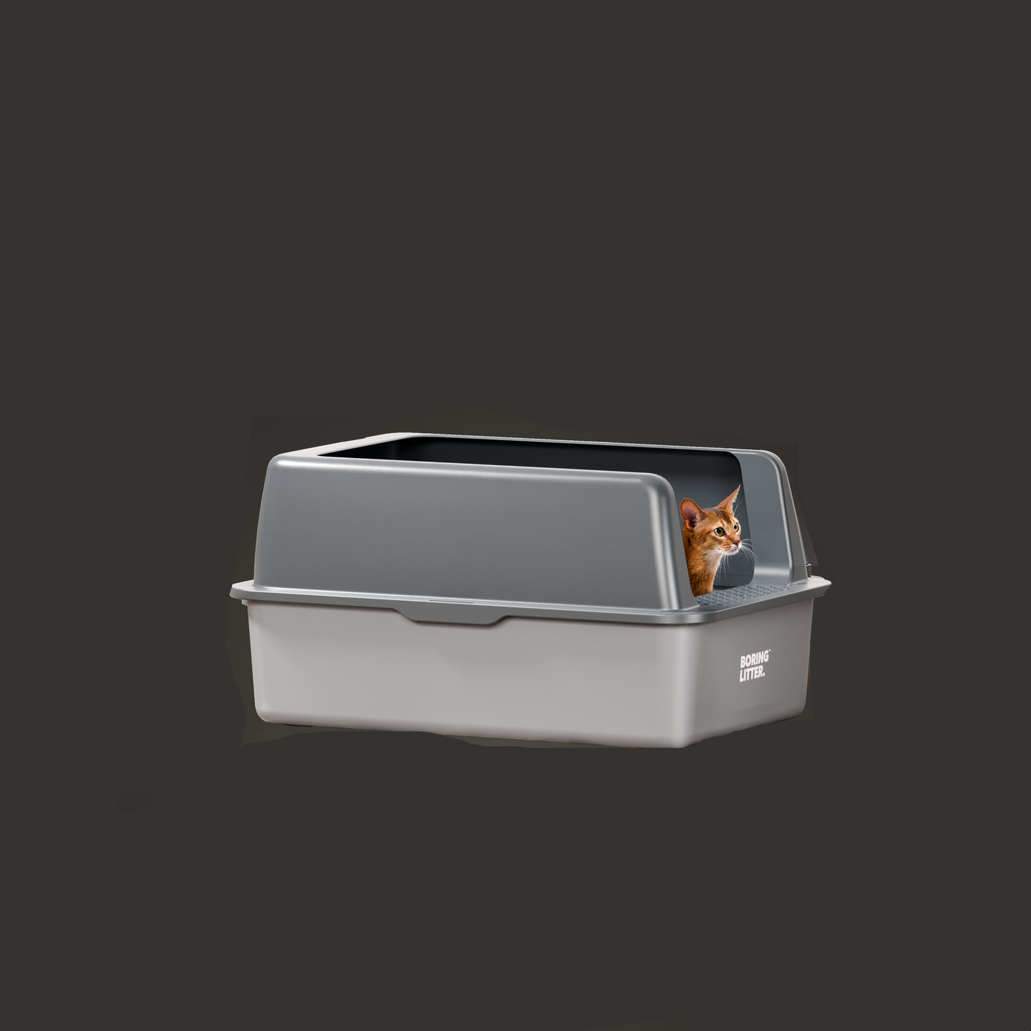 SteelClean Roestvrijstalen Kattenbak – Hygiënisch & Duurzaam