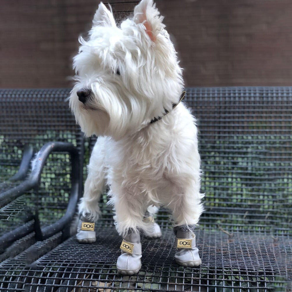 Warme Sneeuwlaarsjes voor Honden - Bescherming tegen Kou en Nattigheid
