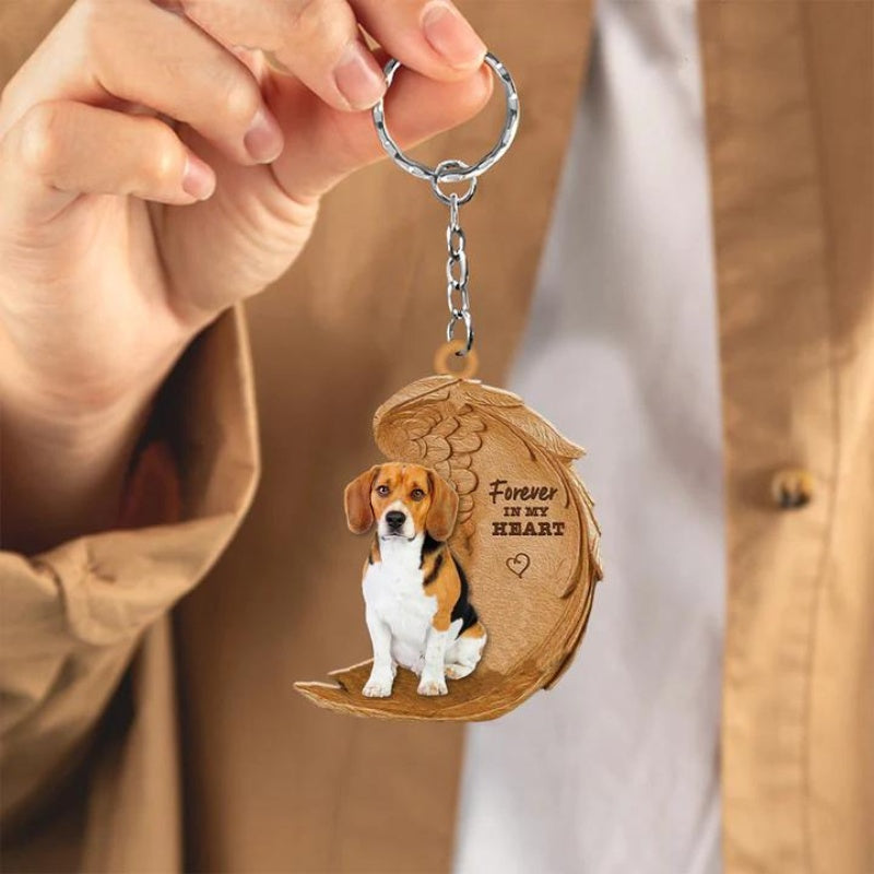 Beagle | Voor Altijd in Mijn Hart