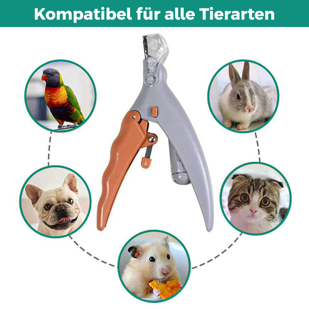 Beste Nagelknipper voor Honden met Snelsensoren