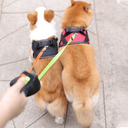 DuoLoop Intrekbare Hondenriem voor Twee Honden met Anti-Knoop