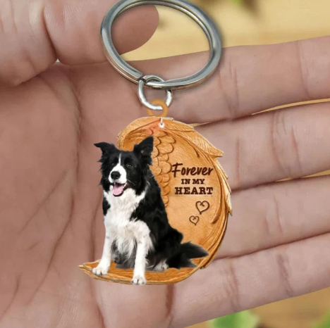 Border Collie | Voor Altijd in Mijn Hart