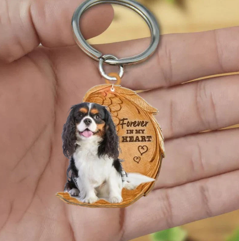 Cavalier King Charles Spaniel | Voor Altijd in Mijn Hart