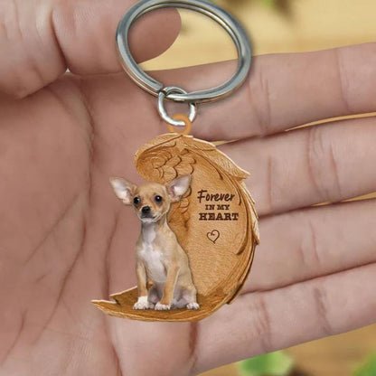 Chihuahua | Voor Altijd in Mijn Hart