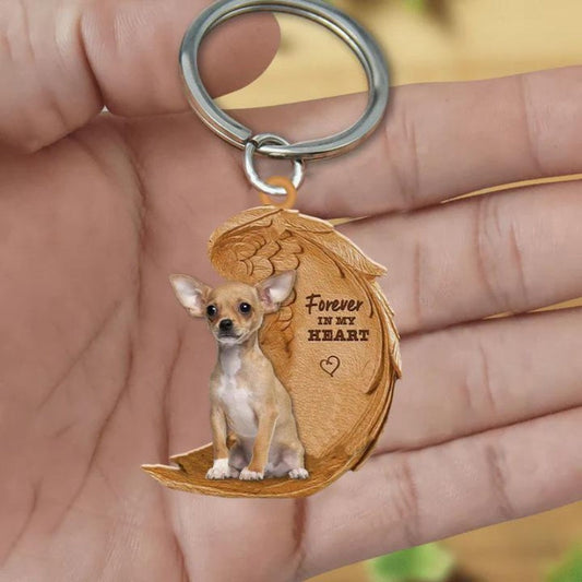 Chihuahua | Voor Altijd in Mijn Hart