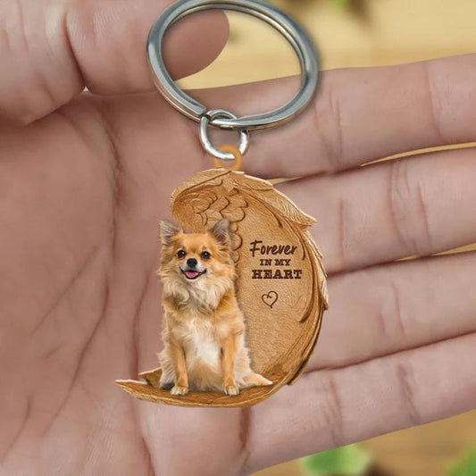 Chihuahua | Voor Altijd in Mijn Hart