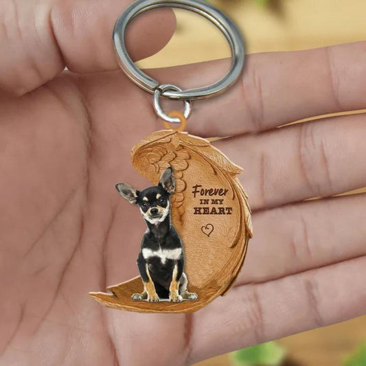 Chihuahua | Voor Altijd in Mijn Hart