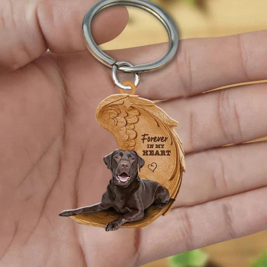 Chocolate Labrador Retriever | Voor Altijd in Mijn Hart