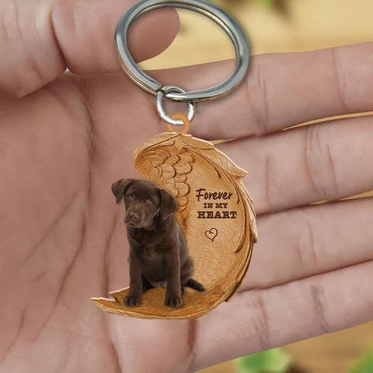 Chocolate Labrador | Voor Altijd in Mijn Hart