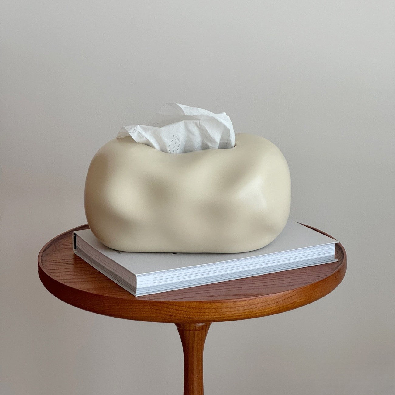 Design Tissuebox Keramiek Wolkvorm Modern en Decoratief