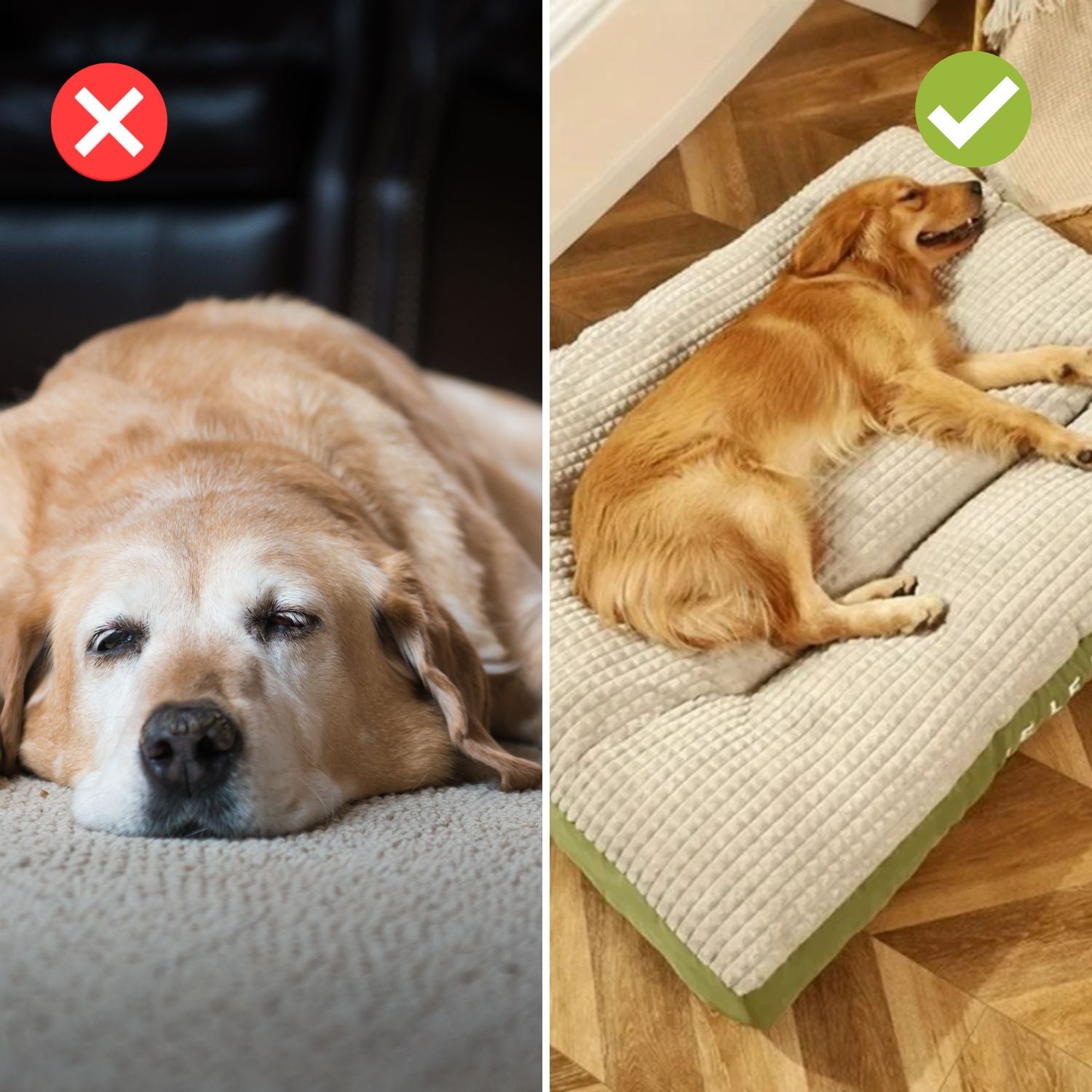 ComfyCanine - Orthopedisch Hondenbed voor Rust en Comfort