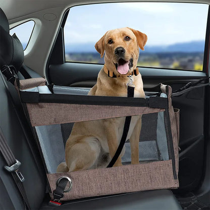 Dieren Reismand voor in de Auto