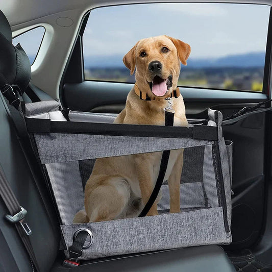 Dieren Reismand voor in de Auto