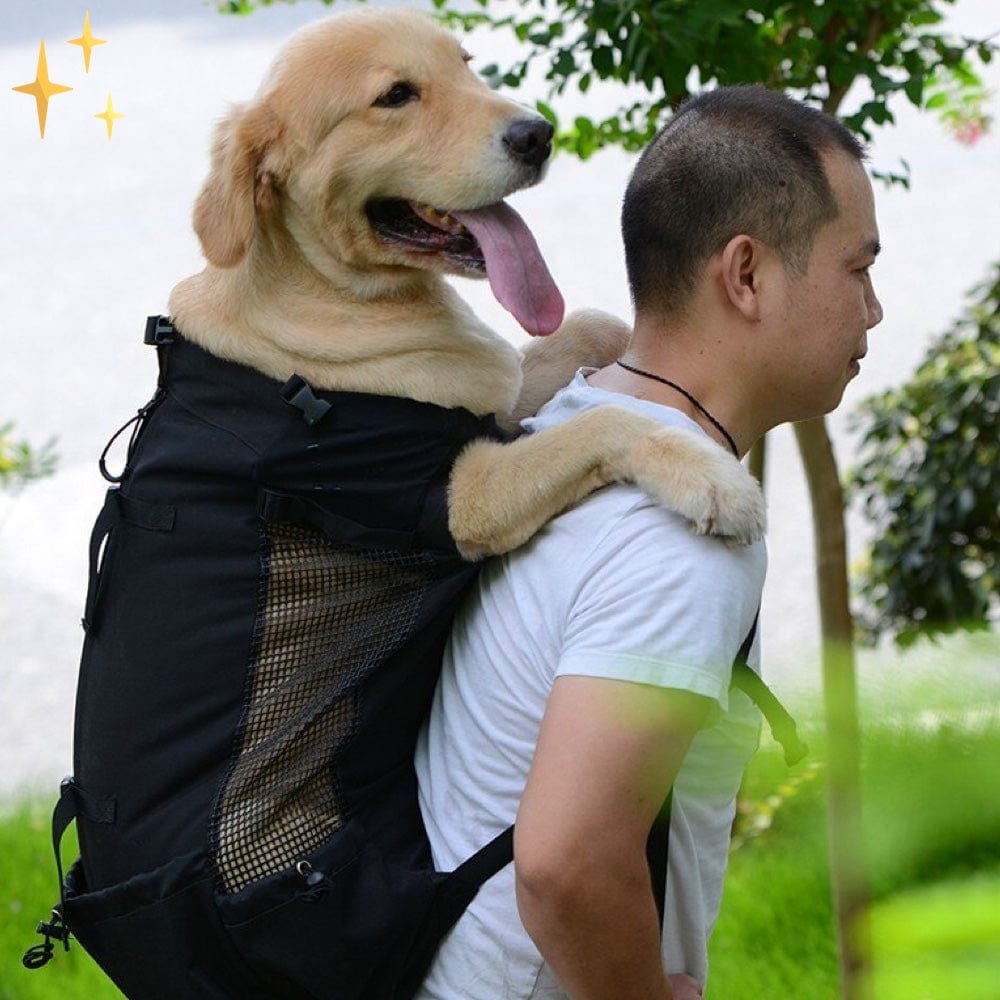 DoggiePack Hunderucksack met Pootvakjes voor comfortabel reizen met uw hond