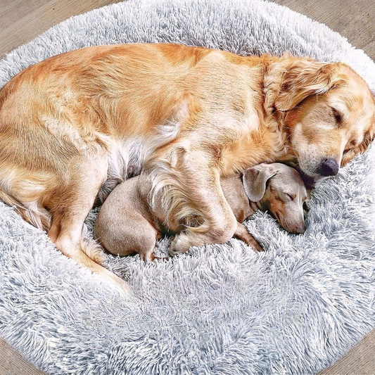 FluffyNest Comfort Hondenbed – Orthopedisch Pluche Ligkussen voor Honden