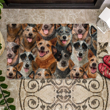 Groepje Australische Cattles Deurmat