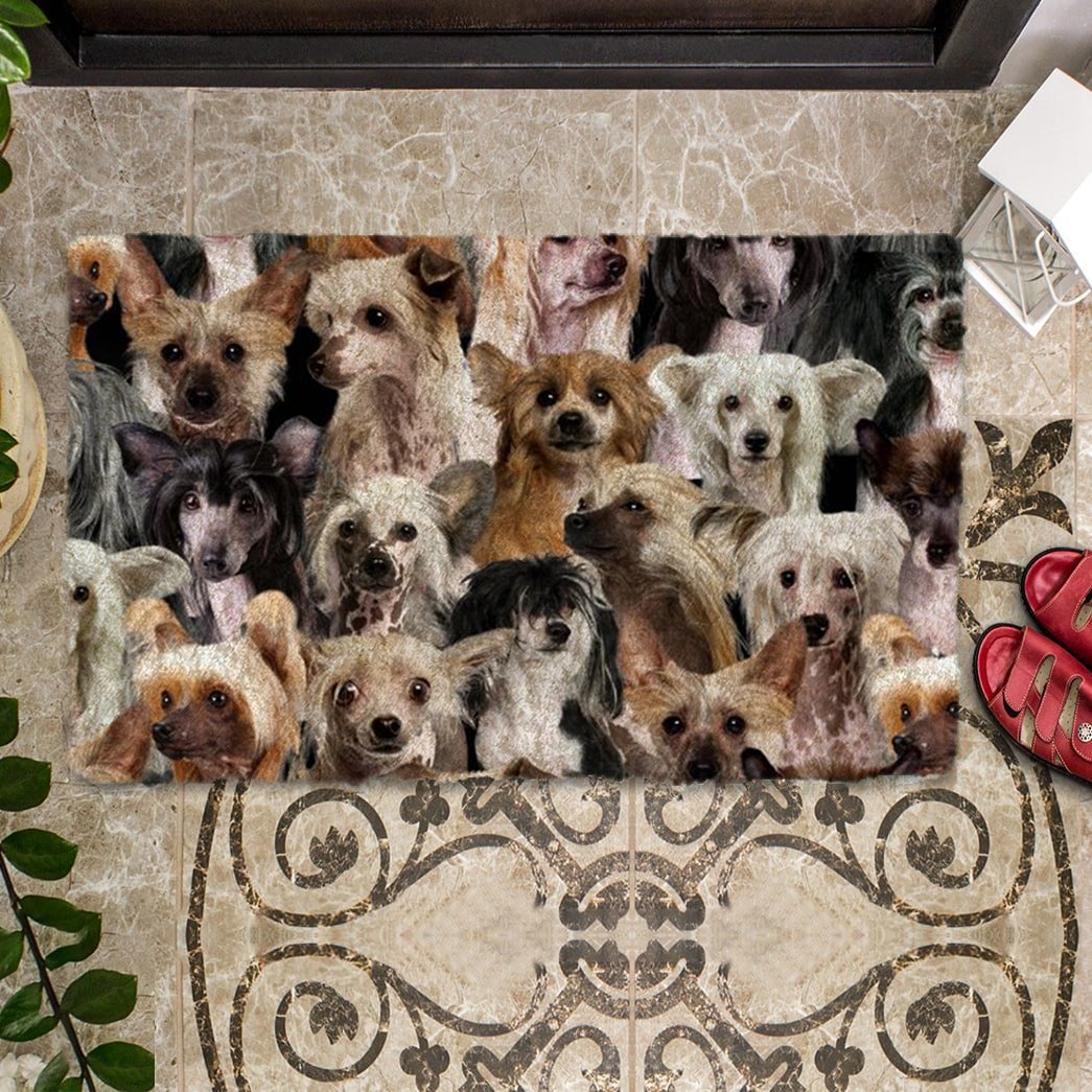 Groepje Chineze Cresteds Deurmat