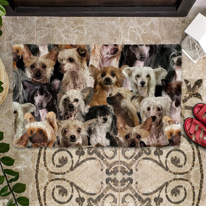 Groepje Chineze Cresteds Deurmat