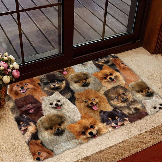 Groepje Pomeranians Deurmat