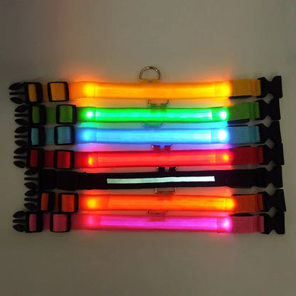 GlowPets LED Halsband – Veiligheid & Zichtbaarheid voor Huisdieren