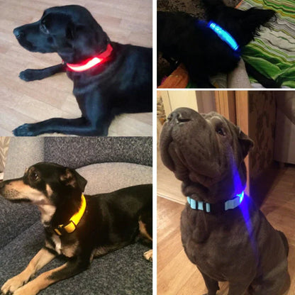 GlowPets LED Halsband – Veiligheid & Zichtbaarheid voor Huisdieren