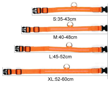 GlowPets LED Halsband – Veiligheid & Zichtbaarheid voor Huisdieren