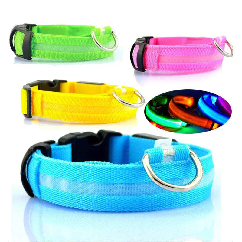 GlowPets LED Halsband – Veiligheid & Zichtbaarheid voor Huisdieren