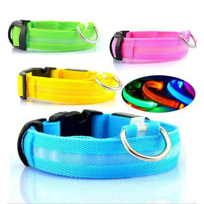 GlowPets LED Halsband – Veiligheid & Zichtbaarheid voor Huisdieren