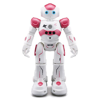 Leermaatje – Interactieve educatieve robot met spraakherkenning en afstandsbediening