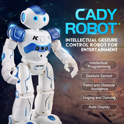 Leermaatje – Interactieve educatieve robot met spraakherkenning en afstandsbediening